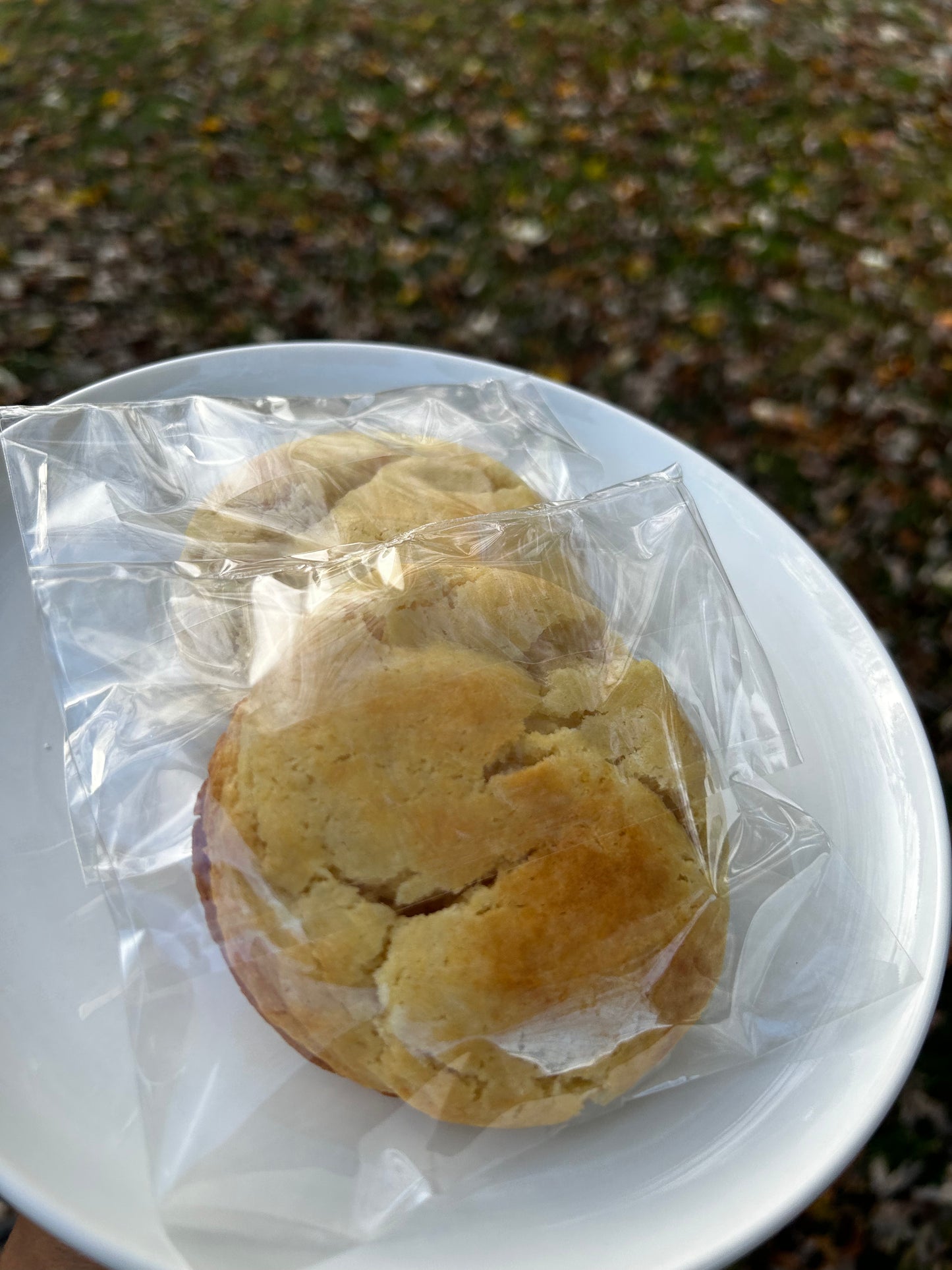 Sugar Cookie